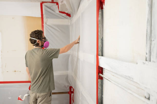 Professional Mold Removal in Shawano, WI